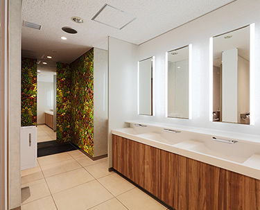 Rest room after renovation