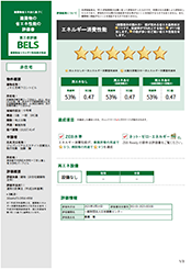 Detailed report PDF